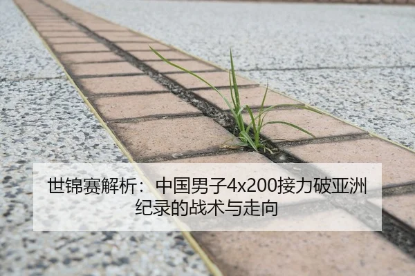 世锦赛解析：中国男子4x200接力破亚洲纪录的战术与走向